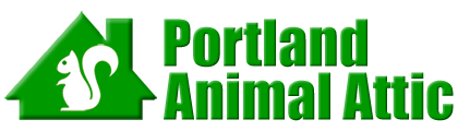 Portland Animal Attic